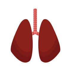 lung human anatomical health image vector illustration