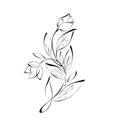 ornament 17. stylized flowers on a white background