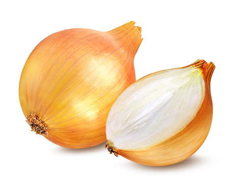 onions isolated on a white