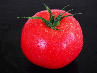 Wet red spring tomato