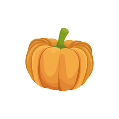 pumpkin vegetable nutrition vitamin food health vector illustration