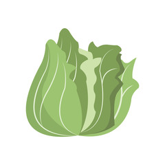 vegetable nutrition vitamin food health vector illustration