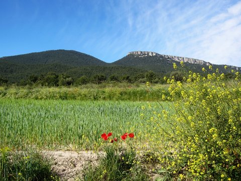 El Despe&ntilde;ador Castalla Alicante Comunidad Valenciana Espa&ntilde;a