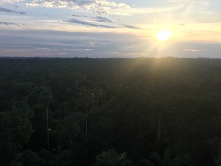 Amazon sunset