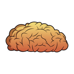 brain mind idea knowledge image vector illustration