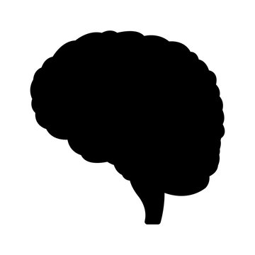 brain mind idea creativity image pictogram vector illustration