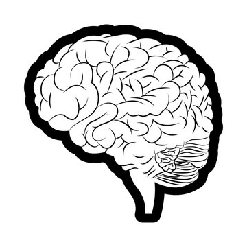 brain mind idea creativity image outline vector illustration