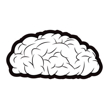 brain mind idea knowledge image outline vector illustration