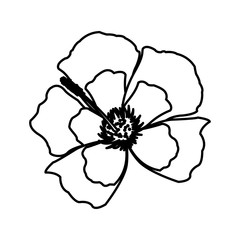 flower decoration floral ornament line vector illustration