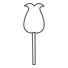 tulip flower nature decoration image line vector illustration