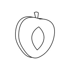 slice apricot fruit harvest diet line vector illustration