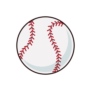 baseball ball sport play equipment image vector illustration