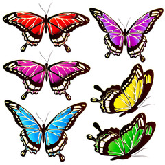 beautiful color butterflies,set, isolated  on a white