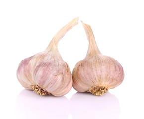 Garlic isolated on white background