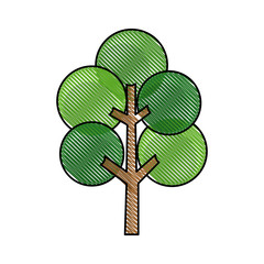 drawing tree round branch stem trunk image vector illustration