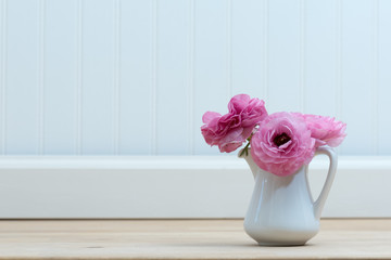 Pink ranunculus in a white pitcher on a white beadboard background.