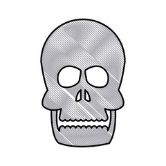 drawing human skull bone care healthy vector illustration