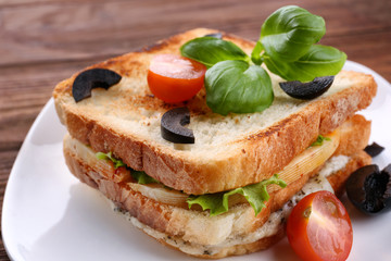 Tasty sandwich with cheese on plate