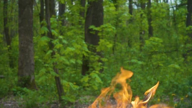 Fire on green forest background, wildfire concept, slow motion