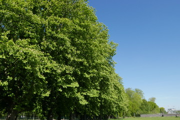 Fototapeta na wymiar Park in Antwerp