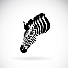 Vector of an zebra head on white background. Wild Animals.