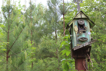 Funky old birdhouse with snake looking out
