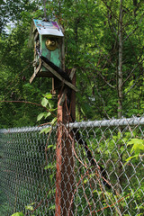 Obraz premium Black snake crawling out of a birdhouse 