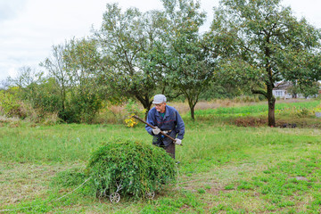 Old man mowing down grass with scythe