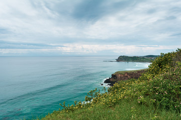 Fototapeta premium The view from the hill with yellow flowers on the ocean and horizon with cumulus clouds and stormy grey sky in Ballina, Byron Bay, Australia