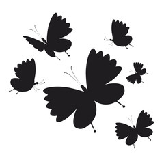 Fototapeta premium 1952