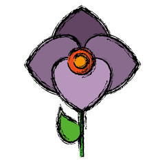 beautiful flower icon over white background. vector illustration