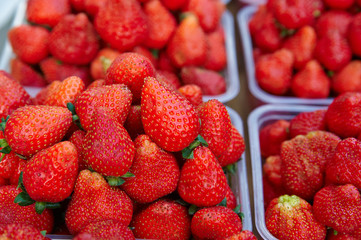 Box of strawberry  for sale at the rural market