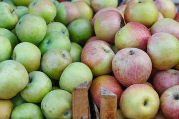 Green and red apples on the market