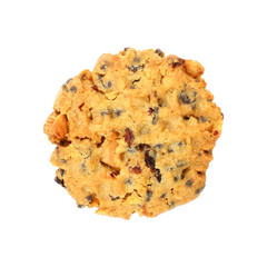 raisin cookie isolated on white