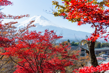 Mount Fuji and red maple tree