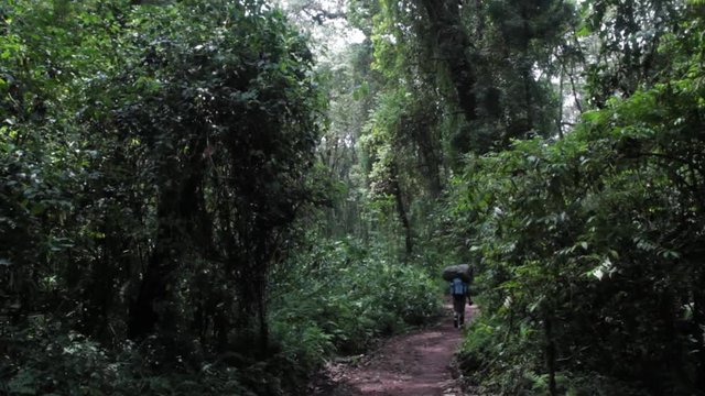 Track on Kilimanjaro on the Machame Route Whiskey