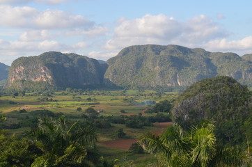 The limestone Karst mountain landscape of the Vinales region of Cuba