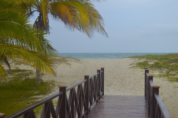 Fototapeta na wymiar Footpath to the beach, Varadero, Cuba