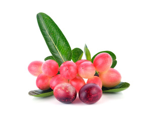 bengal-currants, carandas-plum, karanda on white background