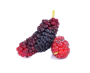 mulberries isolated on a white background.