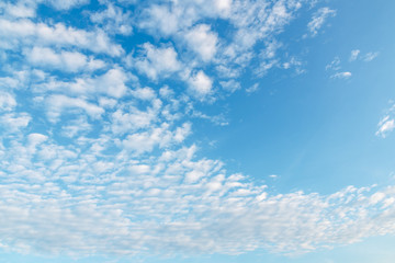 Cloudscape of dawn on blue sky