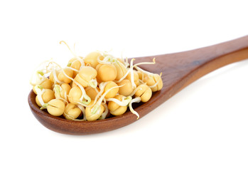 snow pea sprouts isolated on white background