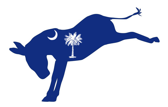 South Carolina Democrat Donkey Flag