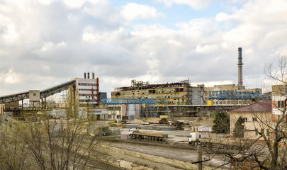 Fototapeta premium the territory of the plant