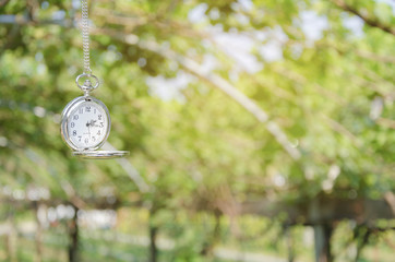 Pocket watch