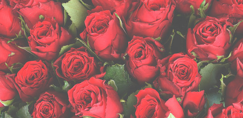 Bouquet of red roses background. Soft filter effect.