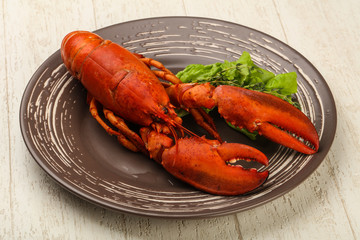 Lobster