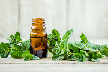 The mint extract in a small jar. Selective focus. 