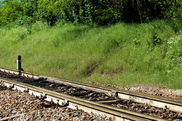 Modern railroad track in the forest