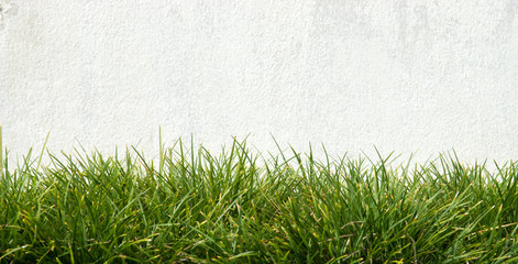 Obraz na płótnie Canvas Old white wall And green grass